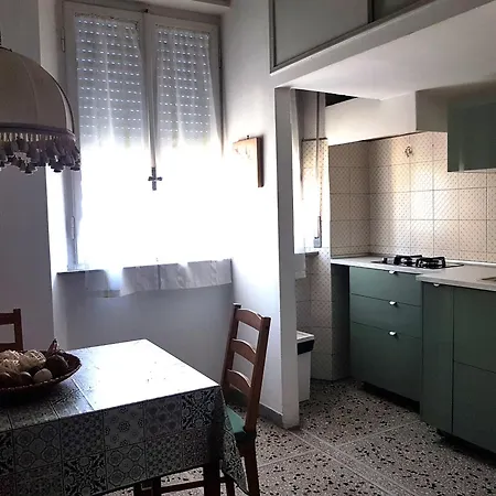 La Coccinella Pisa